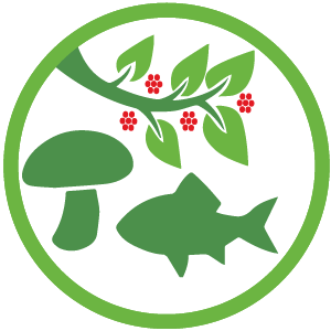 Strategic Pillar: Forest & Freshwater Foods Strategic Pillar: Forest & Freshwater Foods
